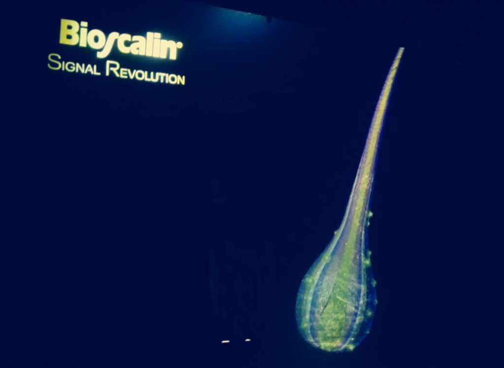 Bioscalin-Signal-Revolution