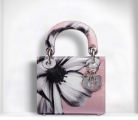 mini-lady-dior-con-stampa