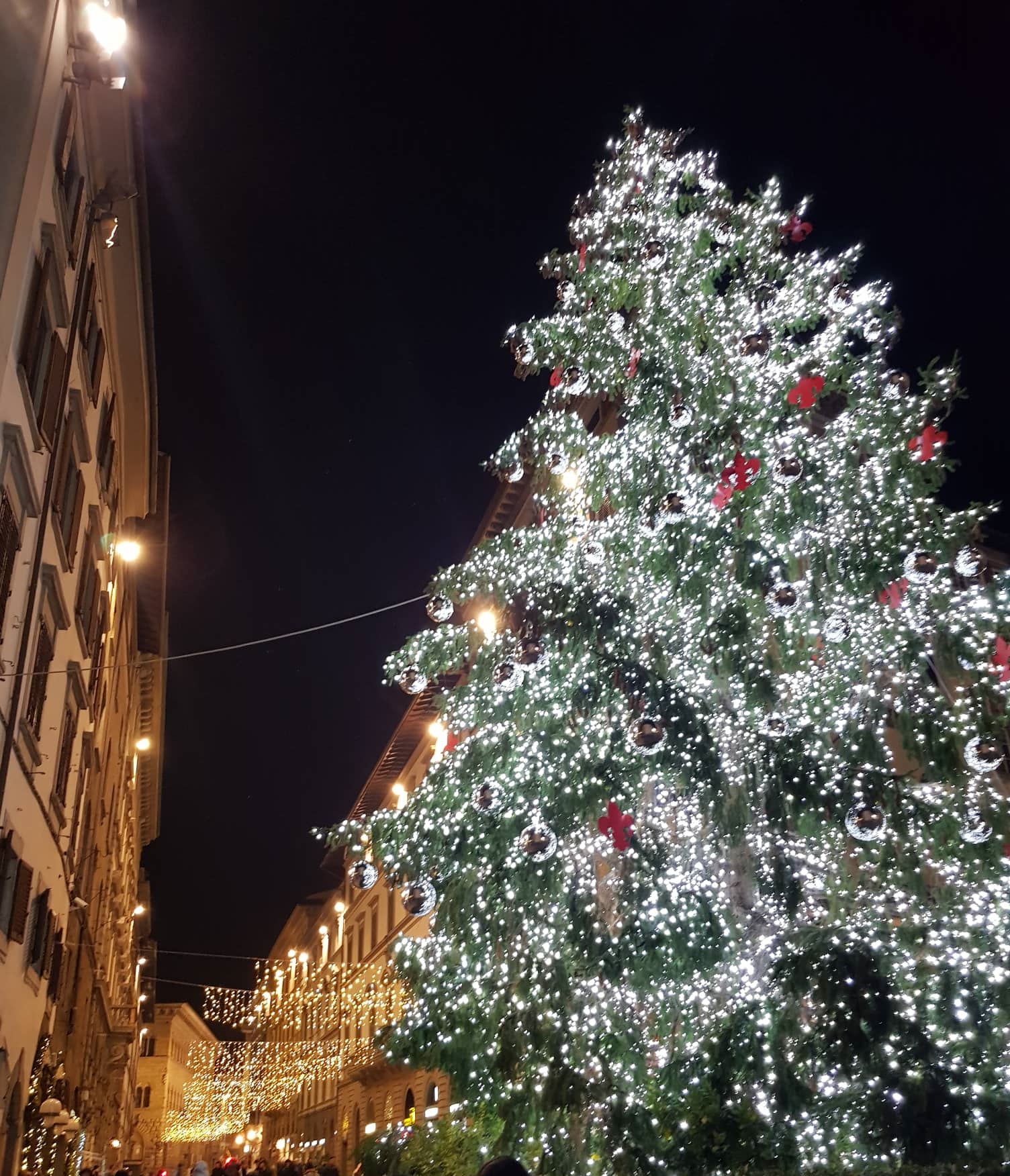 Albero-Natale-Firenze