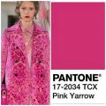 Pink-Yarrow